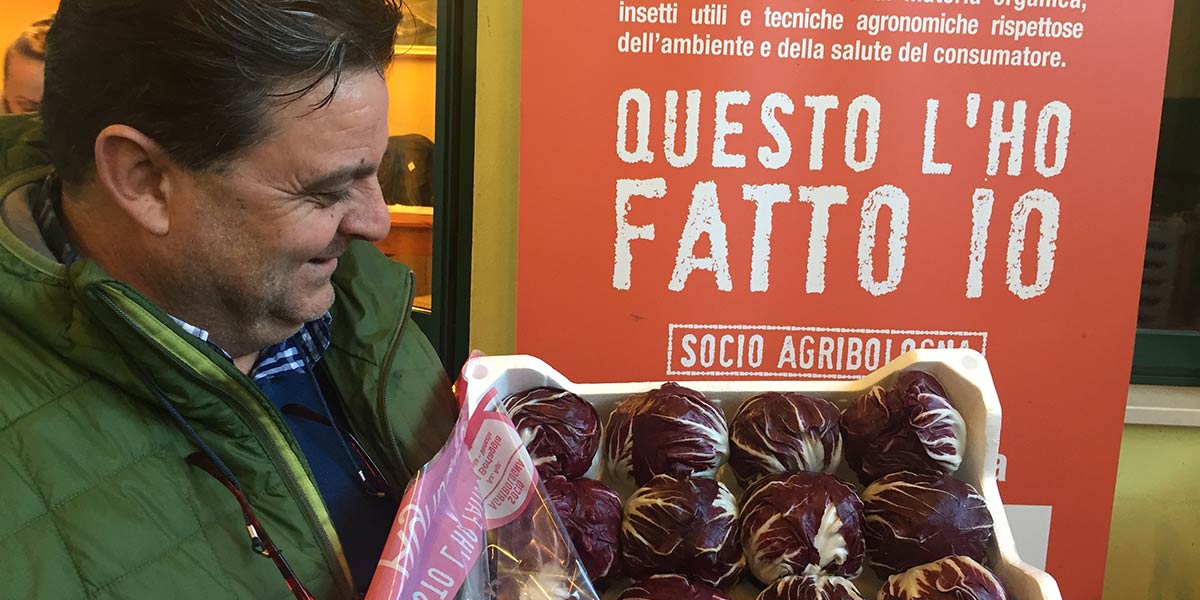 Radicchi, Agribologna lancia due referenze della Linea "Questo l'ho fatto io"